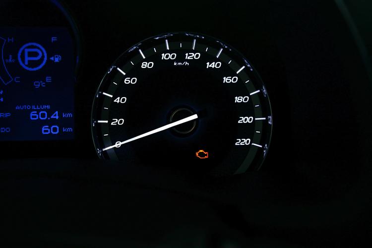 https://gcc-1307444343.cos.accelerate.myqcloud.com/gallery/7205fc445294a8d05287e6a588116045.jpg