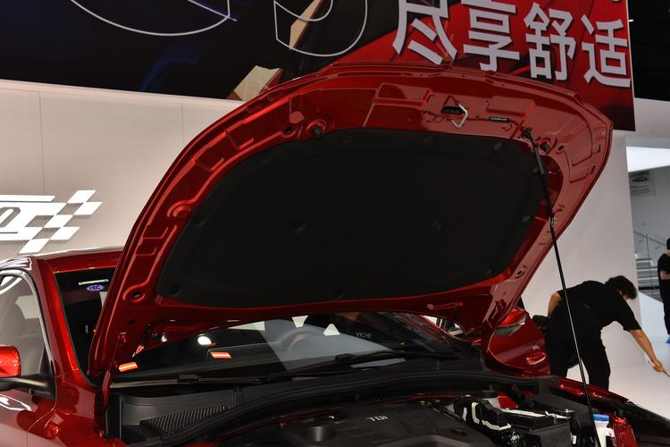 https://gcc-1307444343.cos.accelerate.myqcloud.com/gallery/9837cf8da911c09f34ae058903ecc694.jpg
