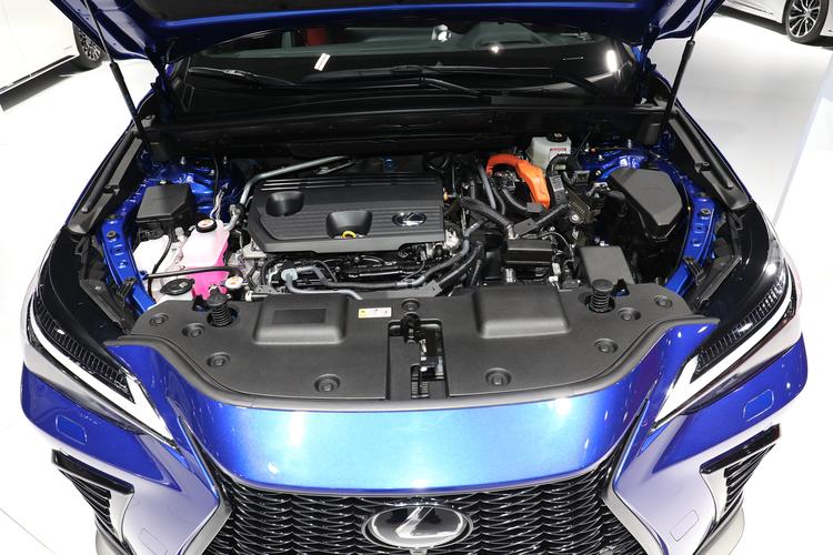 https://gcc-1307444343.cos.accelerate.myqcloud.com/gallery/9d61abe3313b1d02aed97b41d7ff7949.jpg