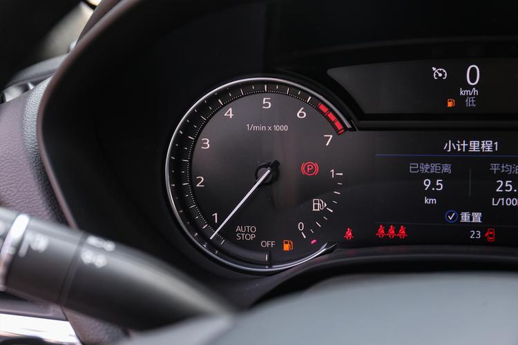https://gcc-1307444343.cos.accelerate.myqcloud.com/gallery/c498d62f6e8b2696e4241090a16421fc.jpg