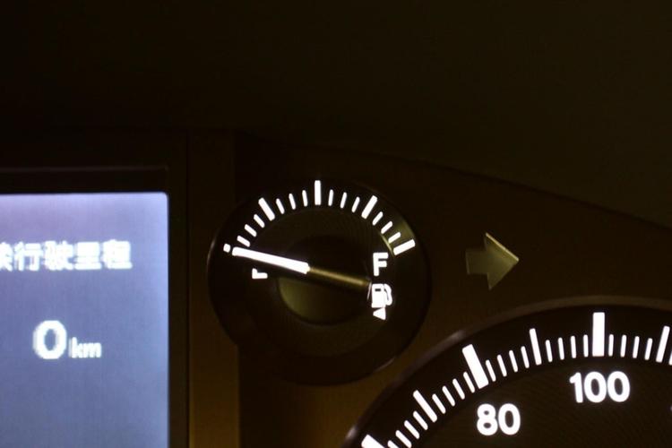 https://gcc-1307444343.cos.accelerate.myqcloud.com/gallery/f03648279d41938f3fd62fac37d1381a.jpg